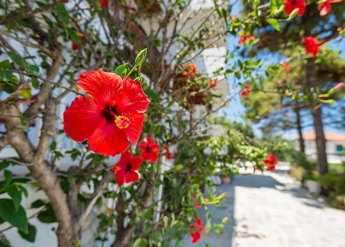 Tassos & Marios Apartments II