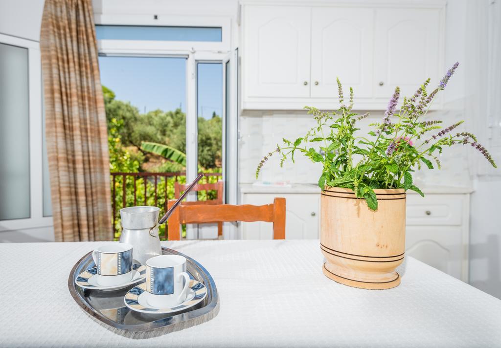Apartment Tassos & Marios Ii Alykanas (Zakynthos)